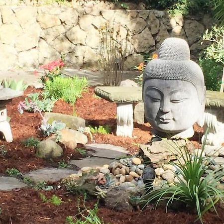 Serene Charming Private Suite Patio, Upscale Berkeley Luaran gambar