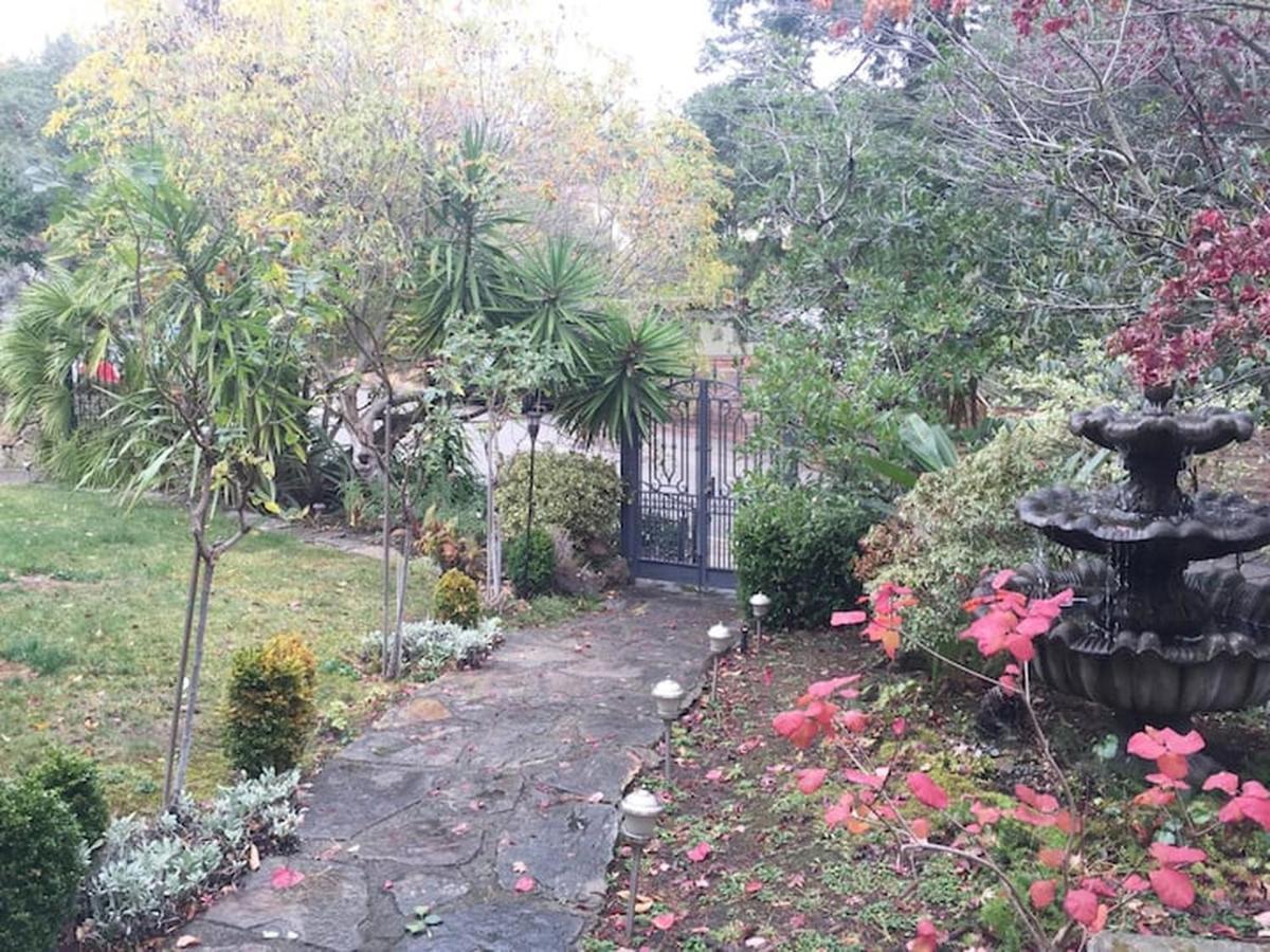 Serene Charming Private Suite Patio, Upscale Berkeley Luaran gambar